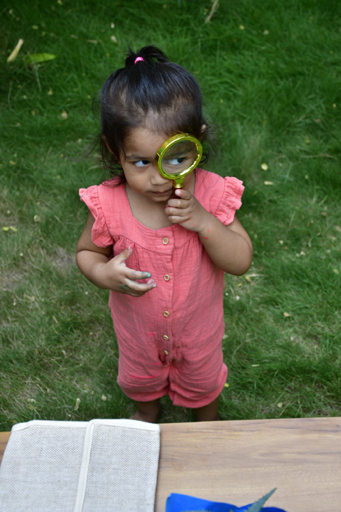 Montessori Awareness Program