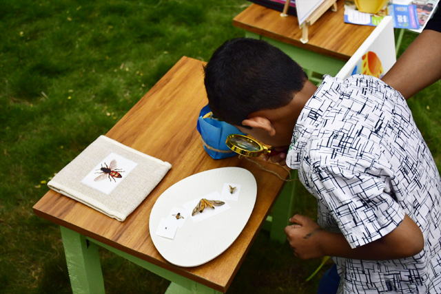 Montessori Awareness Program