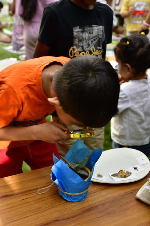 Montessori Awareness Program