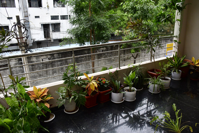 Environment